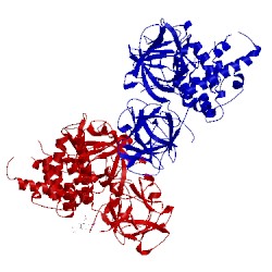 Image of CATH 3t8s