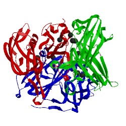 Image of CATH 3tbb