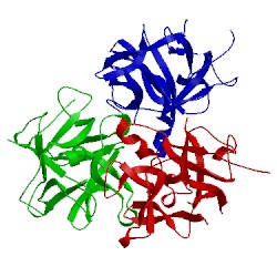 Image of CATH 3tc2