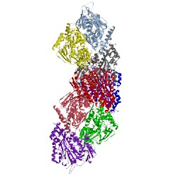 Image of CATH 3tcf