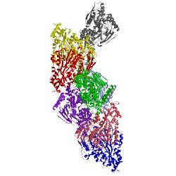 Image of CATH 3tcg