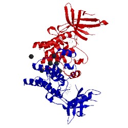 Image of CATH 3tcp