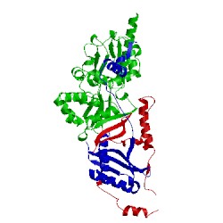 Image of CATH 3tdh