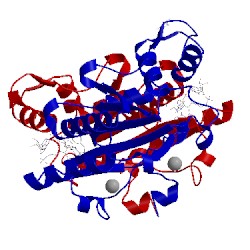 Image of CATH 3tem