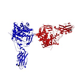 Image of CATH 3tf4