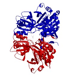 Image of CATH 3tfh