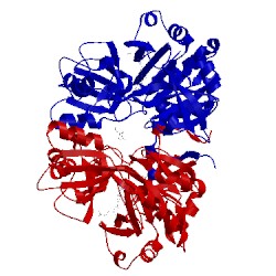 Image of CATH 3tfj