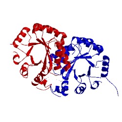 Image of CATH 3tfx