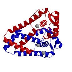 Image of CATH 3tgn