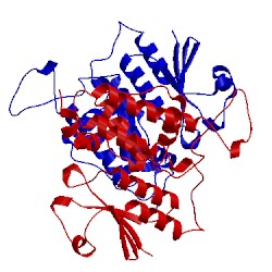 Image of CATH 3tgz