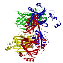 Image of CATH 3tht
