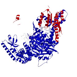 Image of CATH 3thy