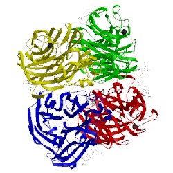 Image of CATH 3tic
