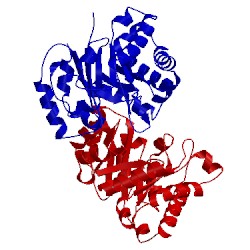 Image of CATH 3tim