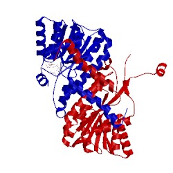 Image of CATH 3tjr