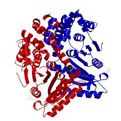 Image of CATH 3tk1