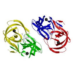 Image of CATH 3tkg