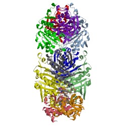 Image of CATH 3tkr