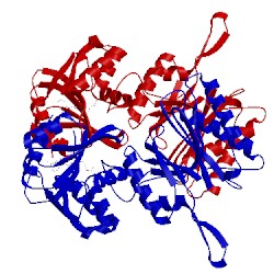 Image of CATH 3tlj