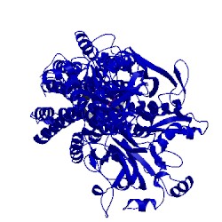 Image of CATH 3tlm