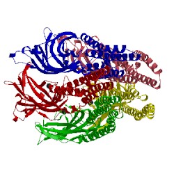 Image of CATH 3tlu