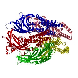 Image of CATH 3tlw