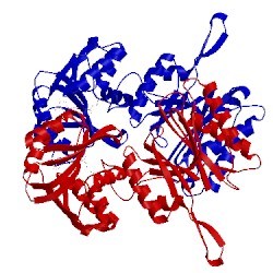 Image of CATH 3tm5