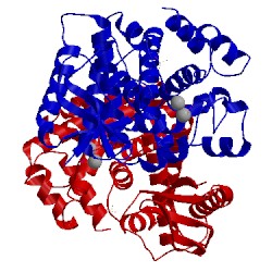 Image of CATH 3tmc