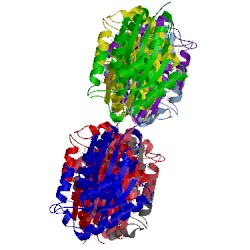 Image of CATH 3tmk