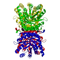 Image of CATH 3tml