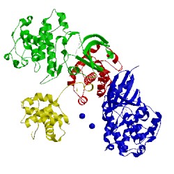 Image of CATH 3tnw