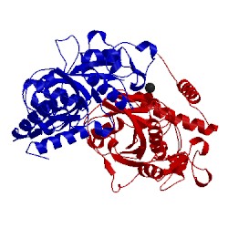 Image of CATH 3tnx