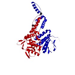 Image of CATH 3toc