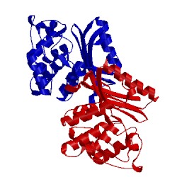 Image of CATH 3toi