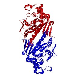 Image of CATH 3tqc