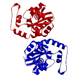 Image of CATH 3trf