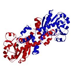 Image of CATH 3tri