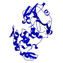 Image of CATH 3trk