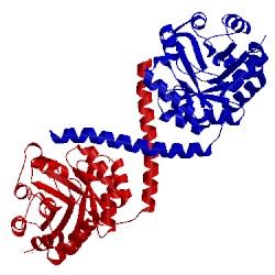 Image of CATH 3tsm