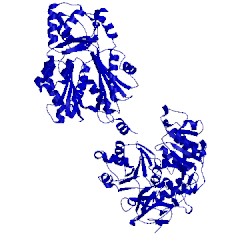 Image of CATH 3tsy