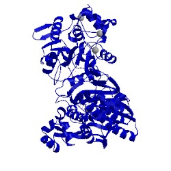 Image of CATH 3ttc