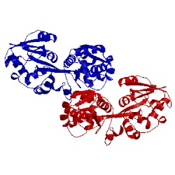 Image of CATH 3ttl