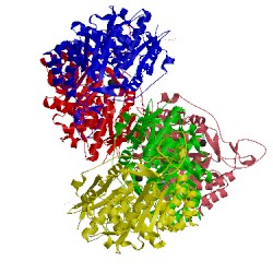 Image of CATH 3twb