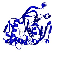 Image of CATH 3tx1