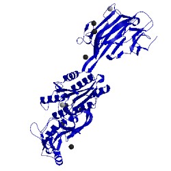 Image of CATH 3txa