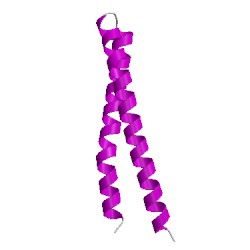 Image of CATH 3txqF01