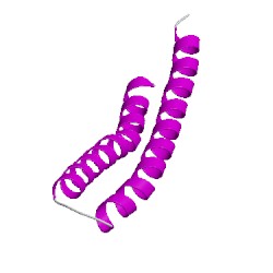 Image of CATH 3txsA01