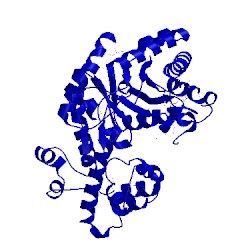 Image of CATH 3txv