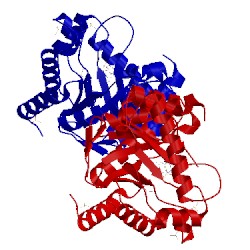 Image of CATH 3tyc