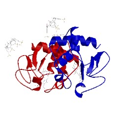 Image of CATH 3tyi